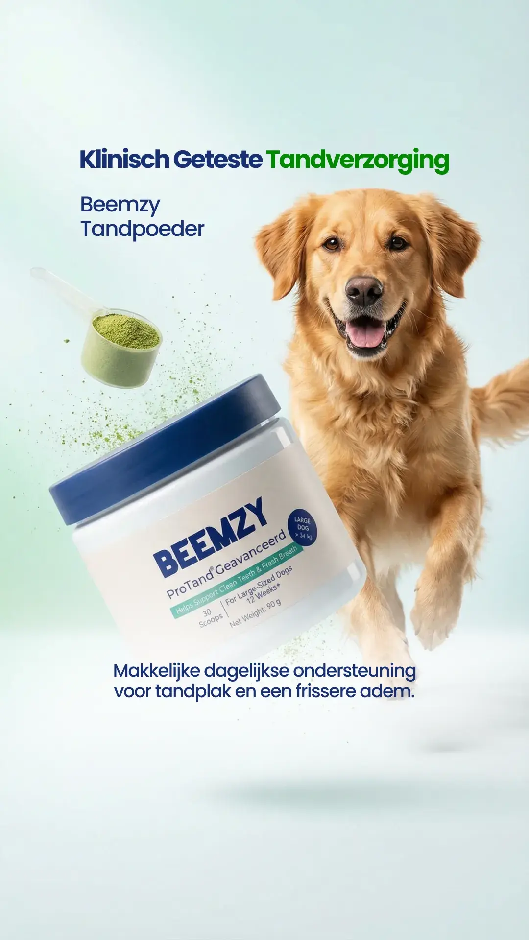 Static ad example 4